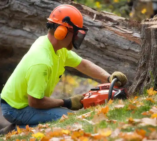 tree services Solomons